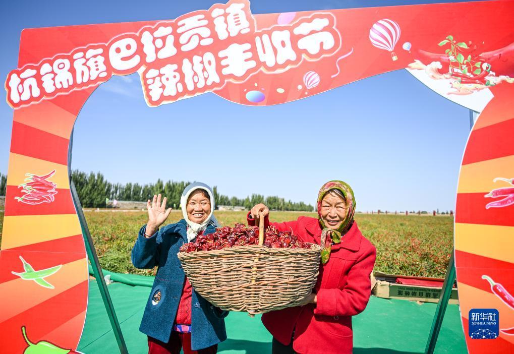 正规老虎机平台